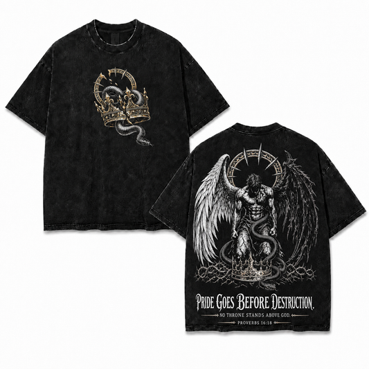 Pride Goes Before Destruction Washed T-Shirt/Crewneck/Hoodie